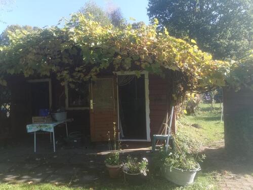 Foto - Schöner Pachtgarten abzugeben in der Wik