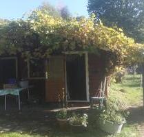 Schöner Pachtgarten abzugeben in der Wik - Kiel