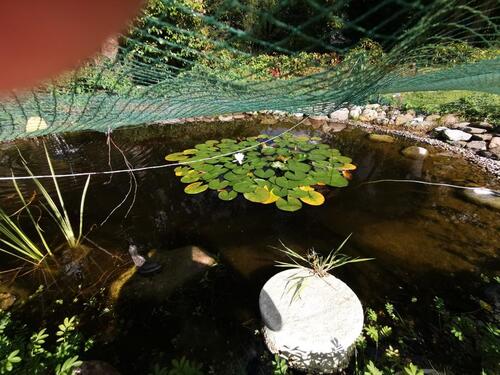 Foto - Grundst&uuml;ck in Kiel