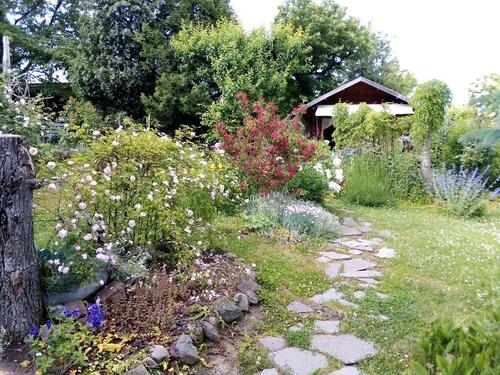 Foto - VIENENBURG Kleingarten in einer Anlage