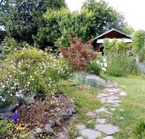 VIENENBURG Kleingarten in einer Anlage - Nordhausen