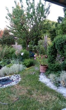 Foto - Grundst&uuml;ck zur Miete in Nordhausen