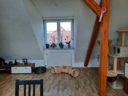 Foto - 2 Zimmer Dachgeschoßwohnung zur Miete in Brunsbüttel