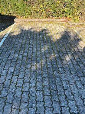 Foto - andere in Bad Liebenzell zur Miete