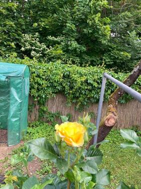 Foto - Pachtgarten - 3.100,00&nbsp;EUR Kaltmiete, ca.&nbsp; 0,00&nbsp;m&sup2;