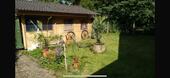 Foto - Mehrfamilienhaus, Wohnhaus in Schwülper zum Kaufen