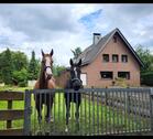 Foto - Gepflegtes Anwesen für Pferdehalter - Waldrandlage