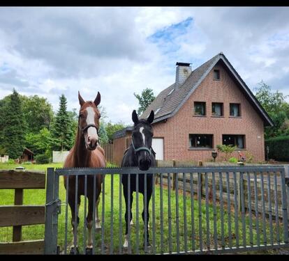 Foto - Gepflegtes Anwesen für Pferdehalter - Waldrandlage