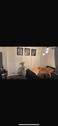 Foto - 2 Zimmer Erdgeschoßwohnung zur Miete in Dinslaken