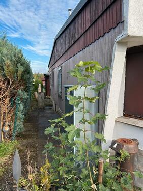 Foto - Einfamilienhaus in Sonnenbühl