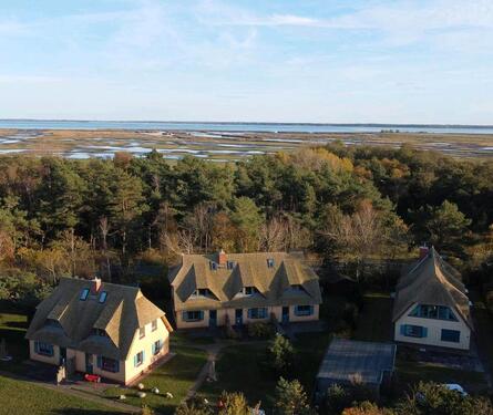 Foto - andere in Dierhagen