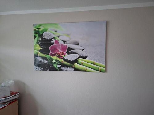 Foto - 2 Zimmer Kaiserstr. - 600,00&nbsp;EUR Kaltmiete, ca.&nbsp; 51,00&nbsp;m&sup2;