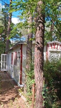 Foto - 4 Zimmer Bungalow zum Kaufen in Eisenhüttenstadt