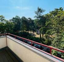 Direkt am Bürgerpark, direkt vom Eigentümer: 3-Zimmer- Wohnung mi - Berlin Pankow