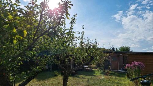 Foto - Grundst&uuml;ck in Thale