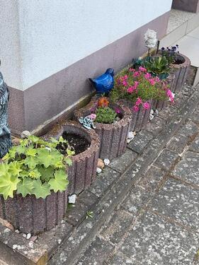 Foto - Grundst&uuml;ck in Eisenhüttenstadt