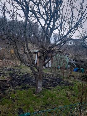 Foto - Grundst&uuml;ck zur Miete in Schwerin