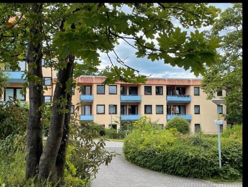 Foto - 1 Zimmer Etagenwohnung zum Kaufen in Trier