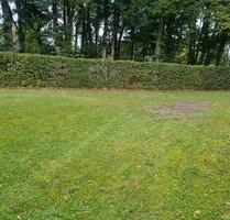 Stellplätze zu vermieten - 70,00 EUR Miete, in Waldbröl (PLZ: 51545)