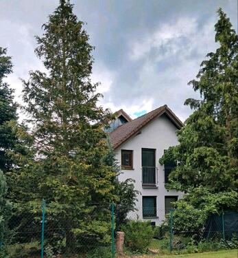 Foto - Einfamilienhaus in Sonnefeld zum Kaufen
