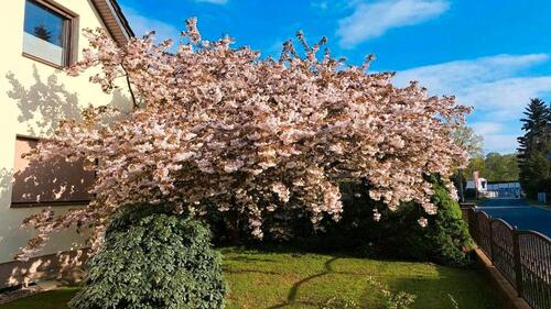 Foto - Einfamilienhaus in Königs Wusterhausen