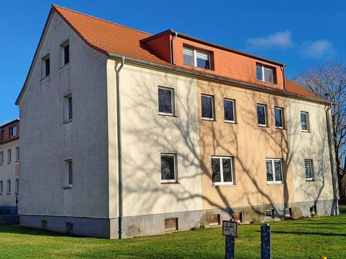 Foto - 3 Zimmer Erdgeschoßwohnung zur Miete in Möllenhagen