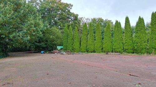 Foto - andere in Westerstede