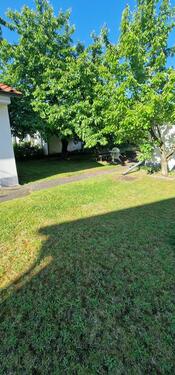 Foto - 2 Zimmer Etagenwohnung zur Miete in Torgelow