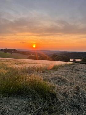 Foto - 2 Zimmer Etagenwohnung zur Miete in Velbert