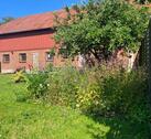 Foto - Einfamilienhaus in Treia zum Kaufen