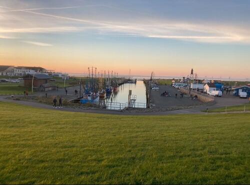 Foto - andere in Wurster Nordseeküste zur Miete