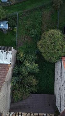 Foto - Einfamilienhaus in Eisingen zum Kaufen