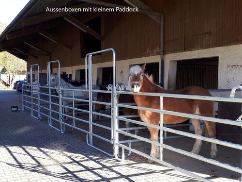Foto - Reitanlage Pferdehof mit Gutachten provisionsfrei