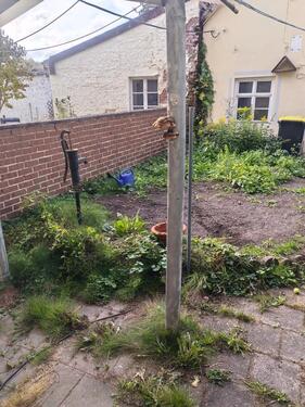 Foto - Einfamilienhaus in Warburg zum Kaufen
