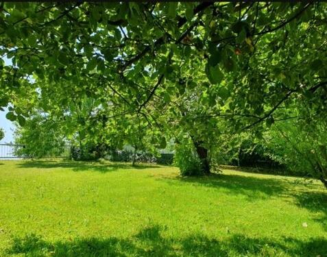 Foto - Einfamilienhaus in Schöllnach zum Kaufen
