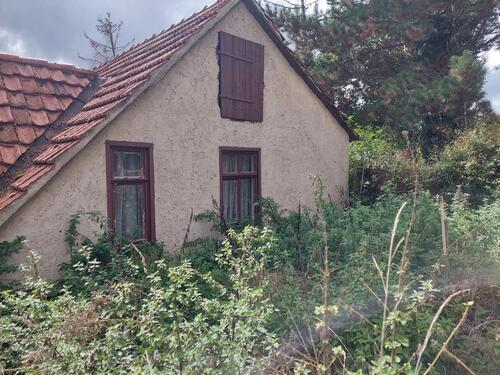 Foto - Einfamilienhaus in Bad Sulza