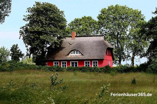 Foto - andere in Reichenbach im Vogtland