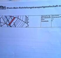 Ackerland Fläche Gemarkung Naunheim - Polch