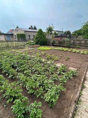 Foto - Pachtgarten , Kleingarten - 600,00&nbsp;EUR Kaltmiete, ca.&nbsp; 0,00&nbsp;m&sup2;