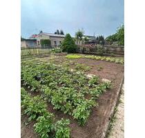 Pachtgarten , Kleingarten - 600,00&nbsp;EUR Kaltmiete, ca.&nbsp; 0,00&nbsp;m&sup2; in Oschersleben (Bode) (PLZ: 39387)