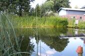 Foto - Einfamilienhaus in Reher