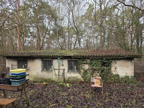 Foto - 