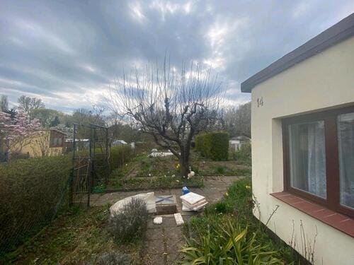 Foto - Kleingarten in Rostock Südstadt