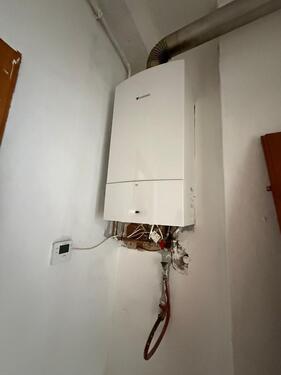 Foto - Etagenwohnung in Hof zur Miete