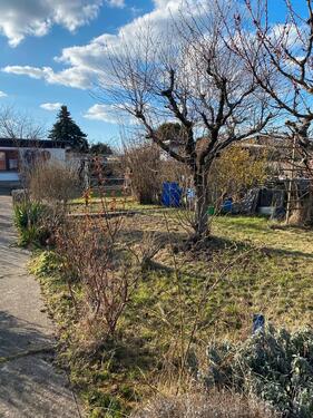 Foto - Grundst&uuml;ck zur Miete in Magdeburg