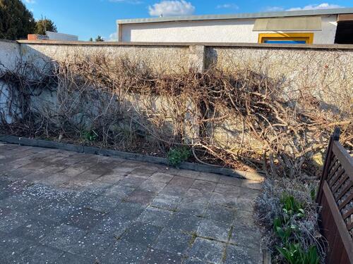 Foto - Grundst&uuml;ck in Magdeburg zur Miete