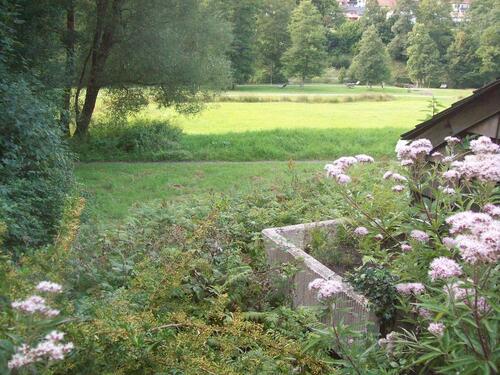 Foto - Etagenwohnung in Bad Wildbad