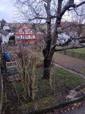 Foto - Grundst&uuml;ck zur Miete in Idstein