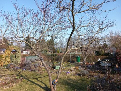 Foto - Pachtgarten abzugeben - 400,00&nbsp;EUR Kaltmiete, ca.&nbsp; 0,00&nbsp;m&sup2;