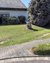 Foto - Einfamilienhaus in Weiskirchen